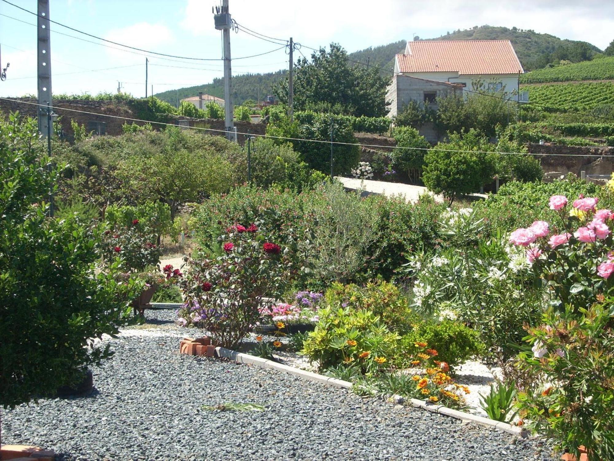 Casa Da Jesus Villa Provesende Exterior photo